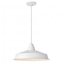 Dainolite OLY-161P-MW - 1LT Pendant, MW