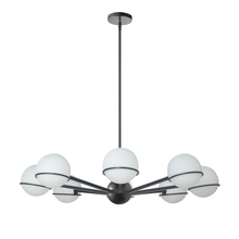 Dainolite SOF-388C-MB - 8 Light Halogen Chandelier, Matte Black with White Opal Glass