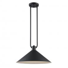  11762 BK - Roscoe 1 - Light Industrial Pendant