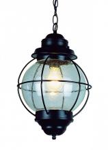  69903 BK - Catalina 13.5" Hanging Lantern Light