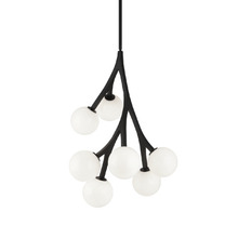  C81507BKOP - Rami Chandelier