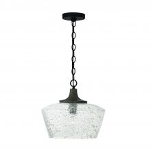 Capital Canada 347611CK - 1-Light Pendant