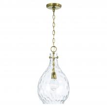 Capital Canada 349012AD - 1-Light Pendant