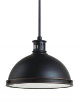  65086EN3-715 - Two Light Pendant