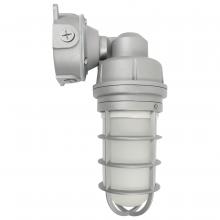  65/551 - LED Adjustable Vapor Tight Fixture; 20W; RGB Selectable; Gray Finish