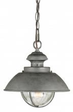  T0265 - Harwich 10-in Outdoor Pendant Textured Gray