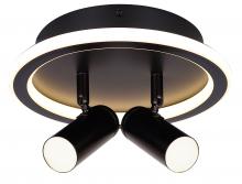  LCW314A02BK - DENVER, LCW314A02BK, 2 Lt LED Ceiling or Wall, Silicone Lens + Acrylic, 17W LED (Integrated)