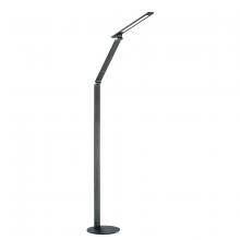  FL5002-BLK - LED FLOOR LAMP