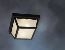  9322BK - Outdoor Ceiling 2Lt