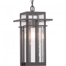  P550039-020 - P550039-020 1-60W MED HANGING LANTERN