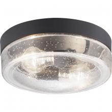  P550042-031 - P550042-031 2-60W MED FLUSH MOUNT