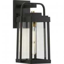  P560286-020 - P560286-020 1-60W MED WALL LANTERN