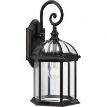  P560323-020 - P560323-020 1-60W MED LARGE WALL LANTERN