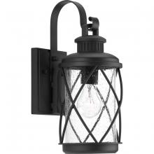  P560080-031 - P560080-031 1-100W MED WALL LANTERN