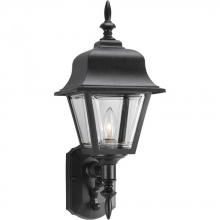  P5656-31 - P5656-31 1-100W MED WALL LANTERN