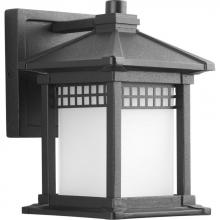  P6000-31 - P6000-31 1-100W MED WALL LANTERN