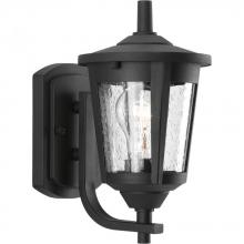  P6073-31 - P6073-31 1-100W MED WALL LANTERN