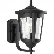  P6074-31 - P6074-31 1-100W MED WALL LANTERN