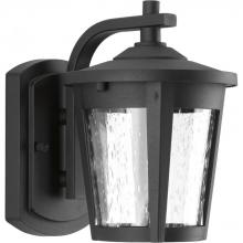  P6077-3130K9 - P6077-3130K9 1-9W LED WALL LANTERN