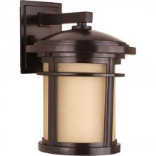  P6085-20 - P6085-20 1-100W MED WALL LANTERN