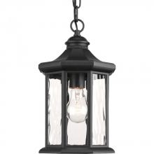  P6529-31 - P6529-31 1-100W MED HANGING LANTERN