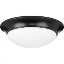  P350147-031 - P350147-031 2-60W MED FLUSH MOUNT