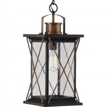  P550068-020 - P550068-020 1-100W MED HANGING LANTERN