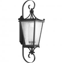  P6629-31MD - P6629-31MD 1-100W MED WALL LANTERN