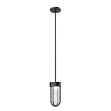  EP17609-BK - DAVY 9" EXTERIOR PENDANT BLACK 14W 120VAC LED 3000K 90CRI