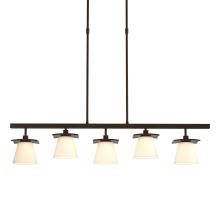 Hubbardton Forge - Canada 136605-SKT-STND-14-GG0242 - Wren 5 Light Pendant