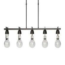 Hubbardton Forge - Canada 137810-SKT-SHRT-14-ZM0572 - Apothecary Pendant