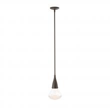 Hubbardton Forge - Canada 188902-SKT-MULT-05-ZM0676 - Fritz Large Pendant