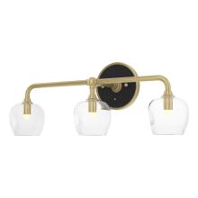  201342-SKT-86-10-ZM0709 - Ume 3-Light Curved Arm Bath Sconce