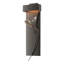  205440-LED-14-05-CR - Rhapsody LED Sconce