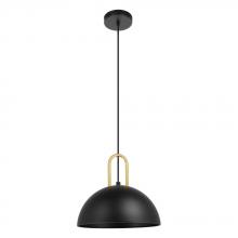  99693A - Calmanera 1-Light Suspension