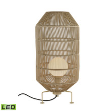  D4622 - FLOOR LAMP